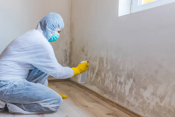 Licensed Commercial Mold Remediation service in Fayetteville, GA - WQB Mold Removal