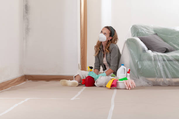 Reliable Commercial Mold Remediation contractor in Fayetteville, GA by WQB Mold Removal